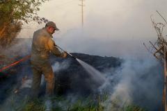 Incêndios ambientais crescem 33% no Paraná no 1.º trimestre