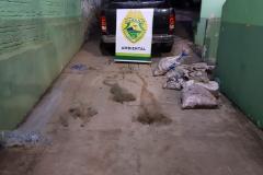 No Centro-Norte do estado, Polícia Ambiental apreende 147 quilos de peixe e redes de pesca