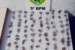 PM apreende maconha e celulares que seriam lançados dentro da Penitenciária Estadual de Londrina