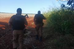 PM do Norte Pioneiro prende foragido da justiça e envolvidos com o tráfico de drogas