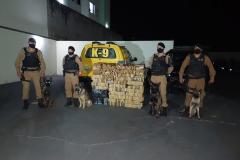 PM prende homem e apreende mais de 350 quilos de maconha em Jussara, no Noroeste do estado