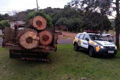 Carga de Pinheiro Araucária é apreendida pela PM no Sudoeste do estado