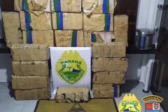 BPRv apreende mais de meia tonelada de maconha no Noroeste do estado