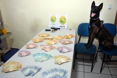 PM cumpre 16 mandados de Busca e Apreensão e apreende mais de R$ 33 mil com a operação Reservada, na RMC