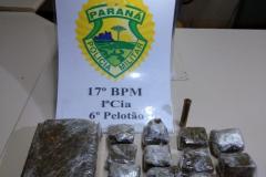 Denúncia leva policiais militares a apreender mudas e maconha pronta para a venda em Tijucas do Sul, na RMC