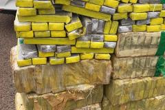 BPRv apreende mais de meia tonelada de maconha ao atender ocorrências distintas no Noroeste do estado