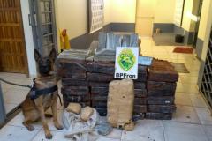 Mais de 1,5 tonelada de maconha são apreendidas pelo BPFron no Oeste do estado