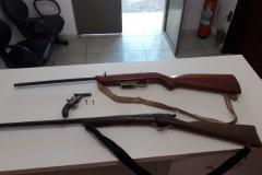 Em cumprimento de mandados, PM prende duas pessoas e apreende armas e ave silvestre nos Campos Gerais