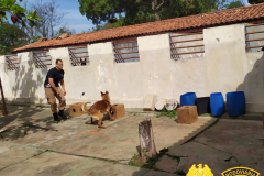 BPRv aplica nivelamento para Canil em Jacarezinho, no Norte do estado