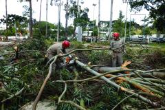 Efeitos do ciclone sobre o Paraná mobilizam Corpo de Bombeiros