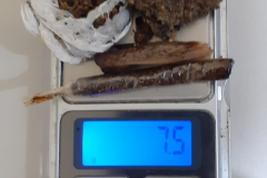 Em situações distintas, PM encaminha dois homens por uso de drogas e aciona Conselho Tutelar no Norte Pioneiro 