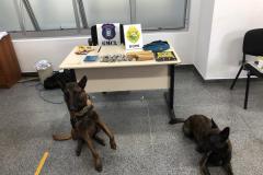 BOPE prende quatro pessoas e apreende arma de fogo e drogas na Região Metropolitana de Curitiba (RMC)