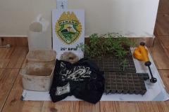 Durante busca por moto furtada, PM encontra plantação de 62 mudas de maconha em Reserva, nos Campos Gerais