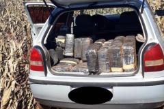 Em Cascavel (PR), PM apreende carro carregado com 291 quilos de maconha