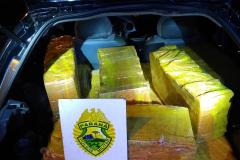 BPFron apreende 268 quilos de maconha durante ação da Operação Hórus no Oeste do estado