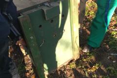 Ação integrada entre Batalhão Ambiental e IAT resgata onça-parda encontrada em área residencial de São José dos Pinhais, na RMC