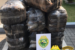 Mais de 150 quilos de maconha são apreendidos pelo BPRv no Oeste e Noroeste do estado