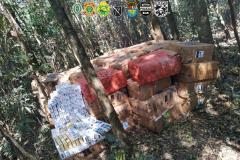 BPFron apreende R$ 175 mil em cigarros contrabandeados no Oeste do estado