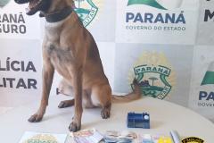 PM, Depen e Ministério Público cumprem mandados judiciais no Noroeste paranaense contra o crime organizado