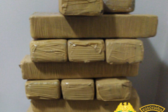 No Norte do estado, Canil do BPRv apreende mais de 15 quilos de maconha em ônibus