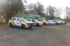 Nos Campos Gerais, PM desencadeia operação, prende duas pessoas e apreende arma de fogo, drogas e dinheiro