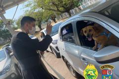 PM de Apucarana (PR) promove Drive Thru para a benção de animais; 700 animais foram abençoados