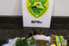BPRv aborda ônibus que ia para Guaratuba, no Litoral do estado, e localiza maconha com rapaz