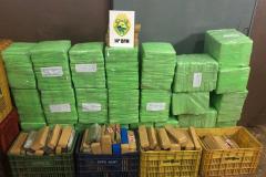 Em apenas um dia, PM retira mais de uma tonelada de maconha de circulação no Oeste do estado