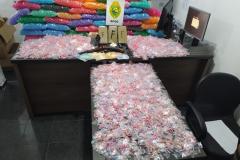 BPGD cumpre mandado judicial e apreende mais de 3,5 quilos de cocaína em São José dos Pinhais, na RMC