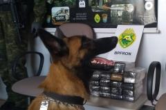 BPFron apreende mais de 17 quilos de maconha ao abordar ônibus em Marechal Cândido Rondon (PR)