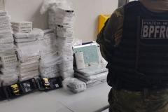 BPFron apreende 500 quilos de agrotóxicos, drogas e contrabando no Oeste do estado durante a Operação Hórus
