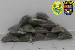 ROTAM localiza quase sete quilos de maconha na Estrada das Colônias em Paranaguá (PR)