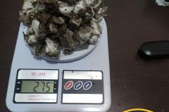 Em ações distintas, PM apreende maconha, crack, arma de fogo e recupera dois veículos nos Campos Gerais