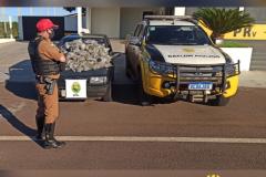 Mais de 29 quilos de Skunk e contrabando são apreendidos pelo BPRv no estado