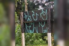 Durante Operação Vida, Polícia Rodoviária encaminha dois envolvidos por pichação em placas de sinalização em Morretes (PR)