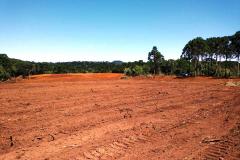 Trio é autuado em quase R$ 100 mil por destruição de vegetação nativa em Guarapuava (PR)