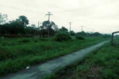 Policiais militares salvam família de ataque de abelhas em Paranaguá (PR)