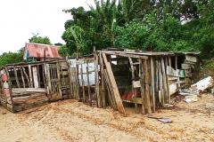 Fiscalização da Polícia Ambiental localiza ocupação irregular em área de proteção ambiental permanente em Paranaguá (PR)
