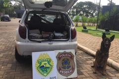BPFron apreende suplementos alimentares em Terra Roxa (PR), no Oeste do estado