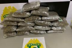 Ações distintas da Operação Hórus resultam na apreensão de drogas e na recuperação de carro roubado em regiões fronteiriças do estado