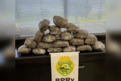 Em situações distintas, BPRv apreende mais de 10 quilos de skunk e um pé de maconha em situações distintas