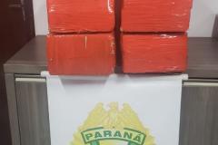 PM apreende 115 quilos de maconha e encaminha suspeito em Floresta, no Norte do estado