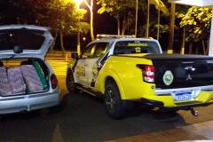 Mais de 138 quilos de maconha são apreendidos pelo BPRv em Santa Helena (PR)