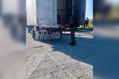 Cães de faro do BPRv auxiliam em operações contra o tráfico de drogas no Norte Pioneiro e na Região Metropolitana de Curitiba