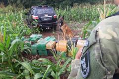 Mais de 1,3 tonelada de maconha é apreendida durante Operação Hórus, no Oeste do Paraná