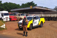Operação Parador 27: Policiais rodoviários apreendem quase uma tonelada de maconha e aplicam 900 notificações de trânsito, em todo o Paraná