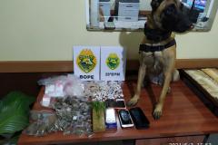 Em ocorrências distintas, PM apreende maconha, crack, ecstasy e dinheiro e encaminha suspeitos no Sudeste do PR