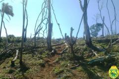 Polícia Ambiental lavra multa de R$ 240 mil por destruição de mata nativa na região de Guarapuava (PR)