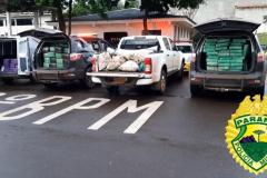 Mais de uma tonelada de maconha é apreendida pela PM em Santa Helena