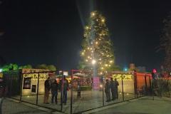 AIFU apreende drogas e fecha sete estabelecimentos comerciais durante fiscalizações em Curitiba